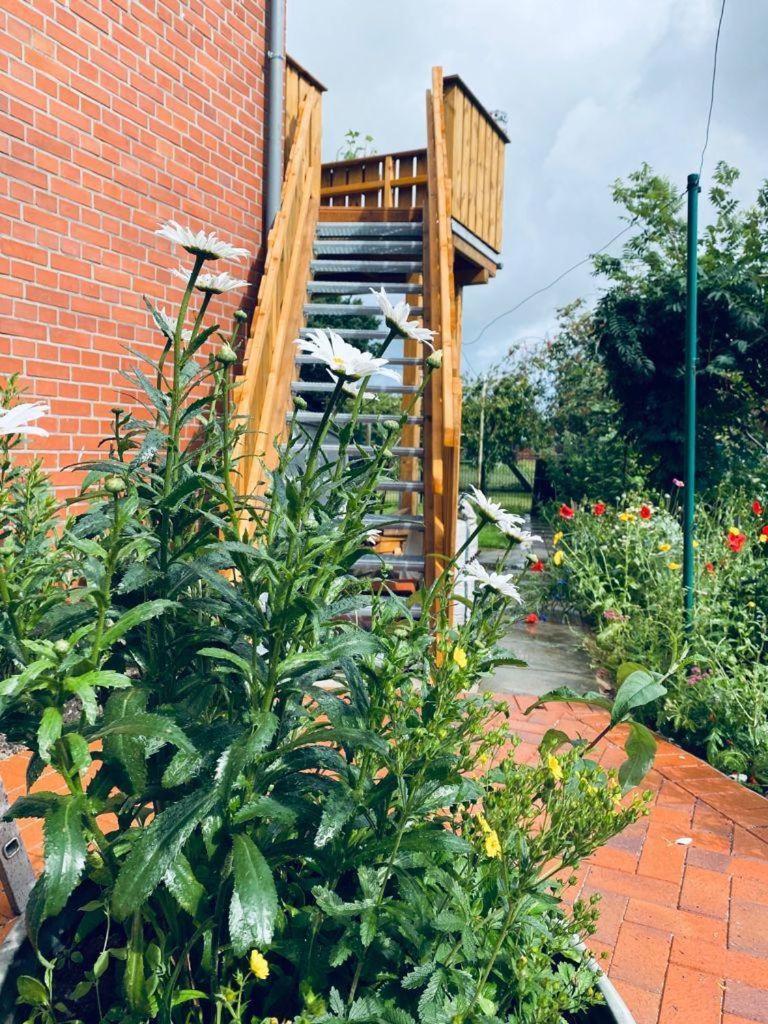 Ferienwohnung-Wildblume Petersdorf auf Fehmarn Exteriör bild